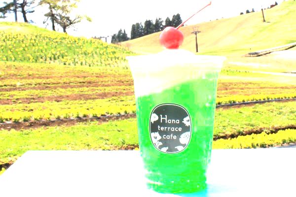 【滋賀県高島市】「びわこ箱館山」がリニューアル！絶景・花・アクティビティ・グルメで1日中遊べる
