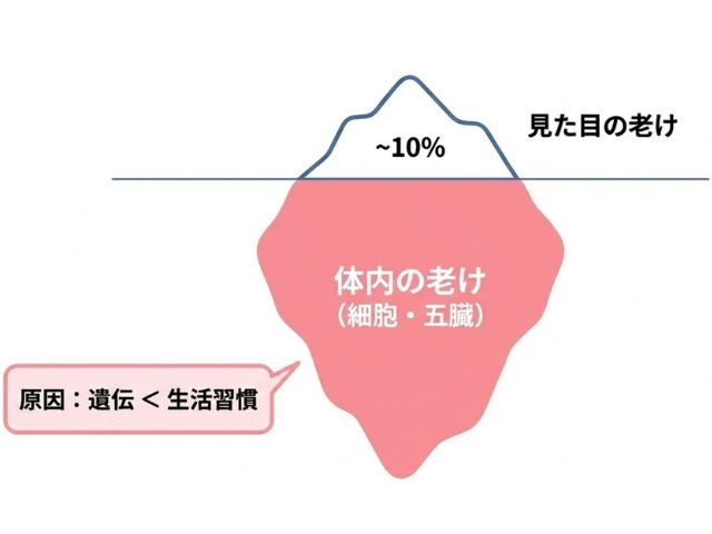 あんしん漢方3