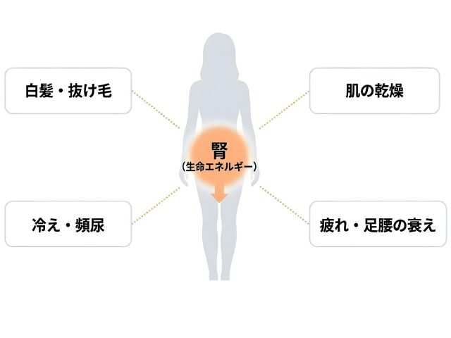 あんしん漢方5