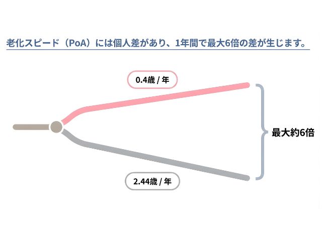 あんしん漢方2