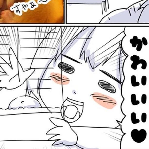 その可愛さで心を癒してくれるハムスター、ナッツちゃん。 画像提供：しゃけなかほいさん