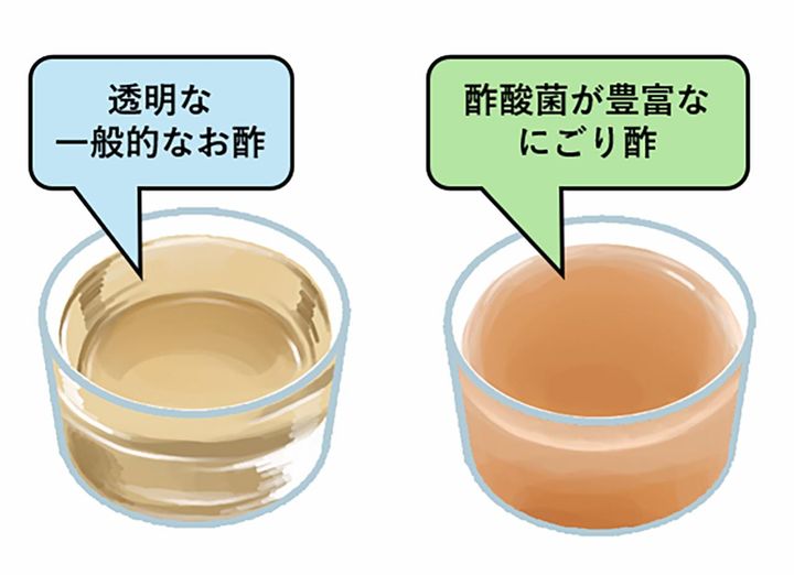 左が一般的な透明のお酢。右が酢酸菌を含むにごり酢。酢酸菌は免疫力を高めて、善玉菌のエサになる。にごり酢はネット通販などで購入可能。