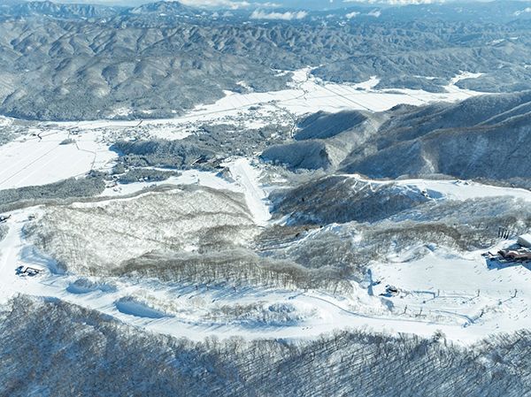 【長野県白馬村】白馬五竜に「バギーツアー」と「ペイントボール」登場！森を“モリモリ”楽しむ新体験