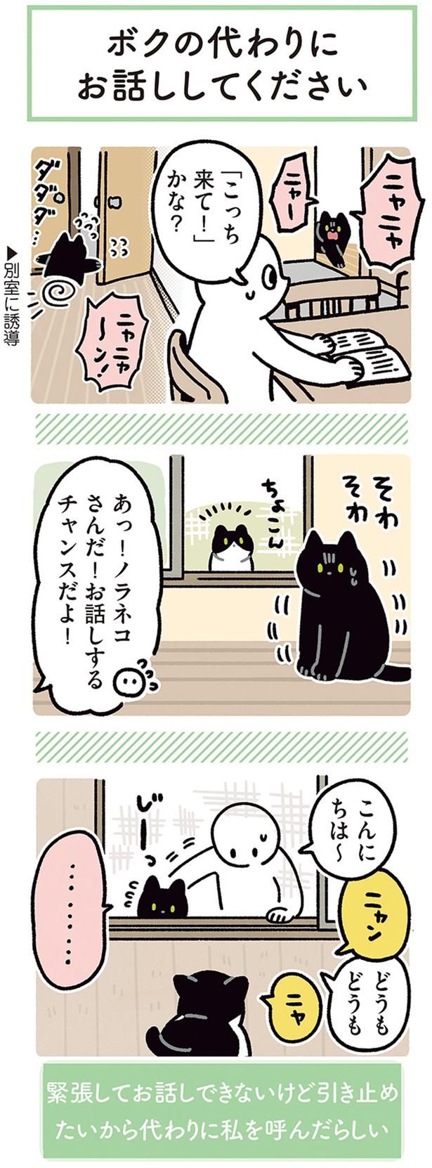 「こっち来て！」かな？ （C）AKR／KADOKAWA