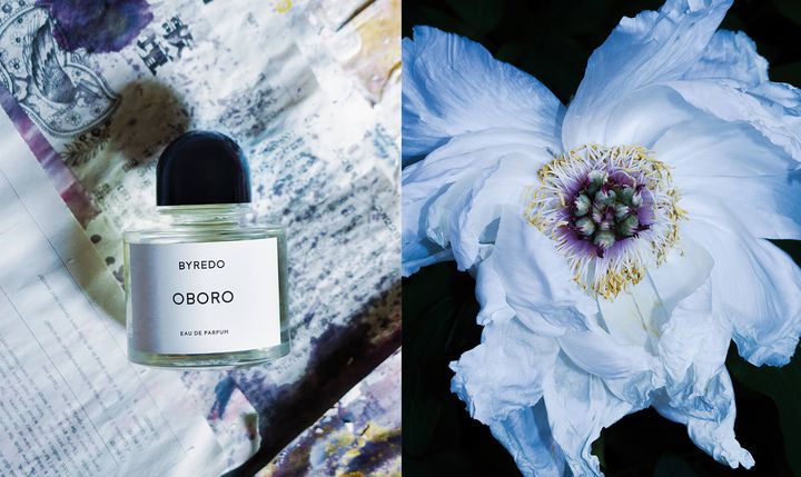 BYREDO “OBORO”