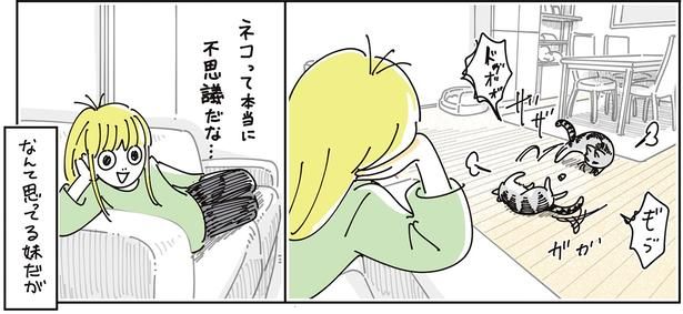 不思議だな （C）キュルZ／KADOKAWA