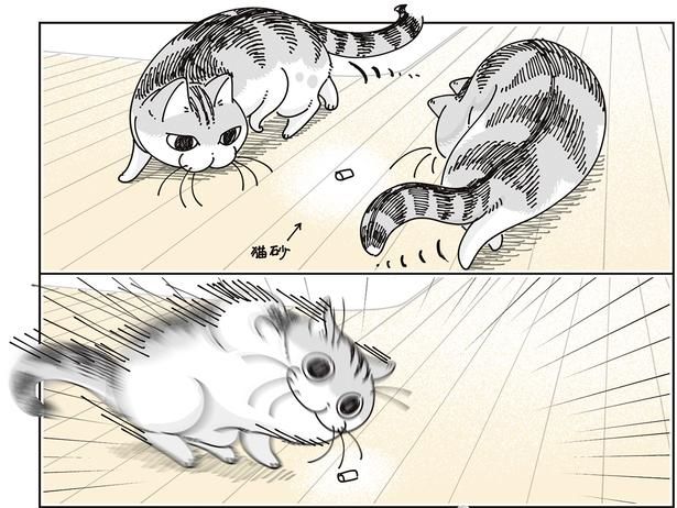 猫砂に （C）キュルZ／KADOKAWA