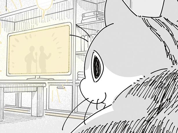 ネコもまた見ている （C）キュルZ／KADOKAWA