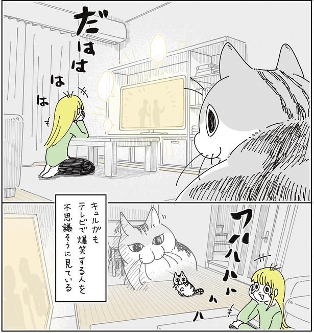 不思議そうに見ている （C）キュルZ／KADOKAWA