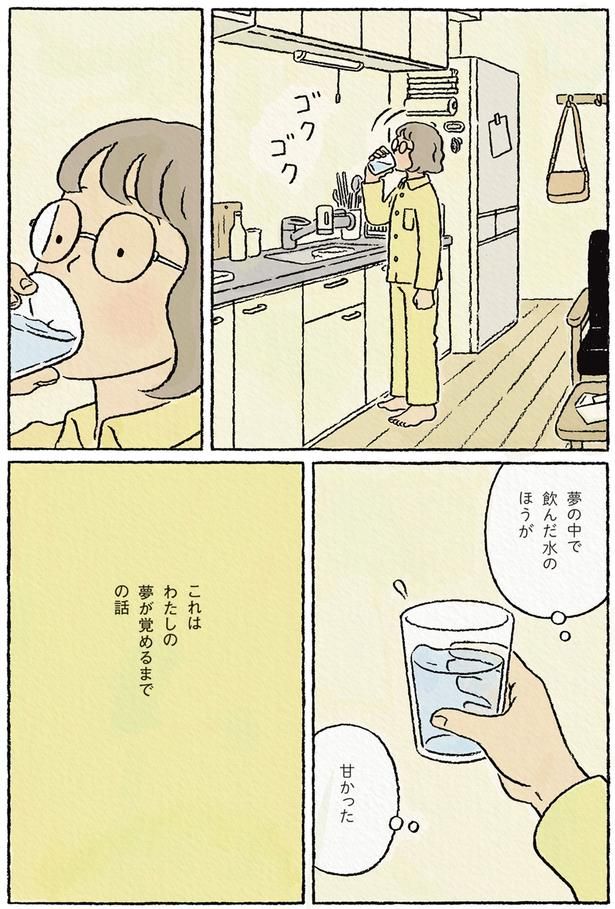 わたしの夢が覚めるまでの話 （C）ながしまひろみ／KADOKAWA