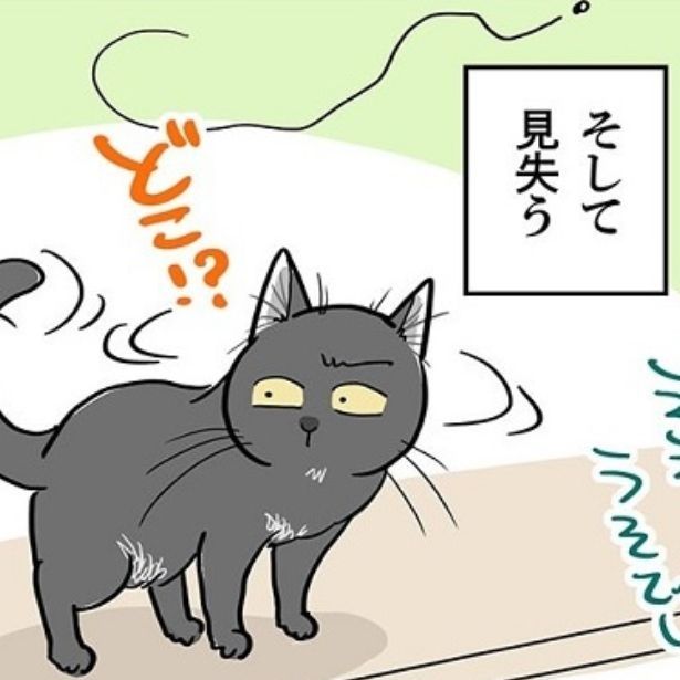 家の中で飛ぶ虫を発見したが!?