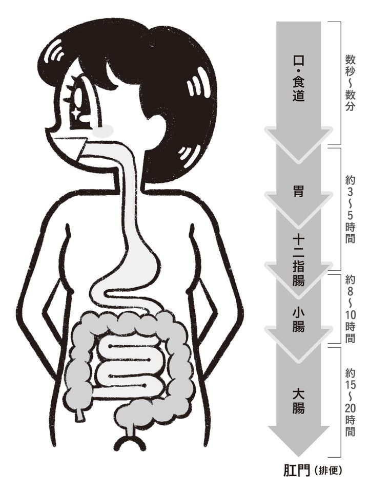 【腸活お悩み相談室①】うんちと仲良くなろう
