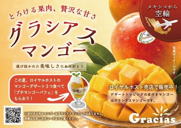 「Apple Mango～ひと夏でめぐるマンゴーデザート～スタンプラリー」で使用するスタンプカードの表面