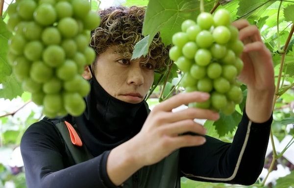 【岡山県岡山市】丸草出荷組合による直売所「マルクサぶどう販売」が今シーズンのぶどう販売を開始！