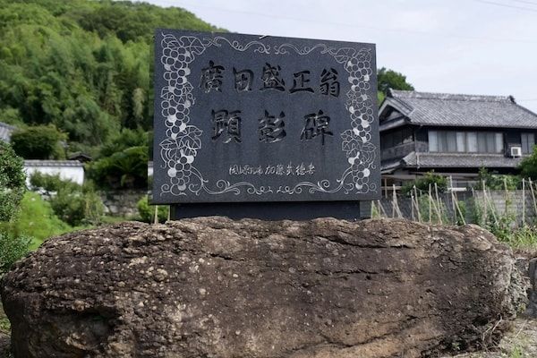 【岡山県岡山市】丸草出荷組合による直売所「マルクサぶどう販売」が今シーズンのぶどう販売を開始！