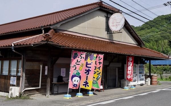【岡山県岡山市】丸草出荷組合による直売所「マルクサぶどう販売」が今シーズンのぶどう販売を開始！
