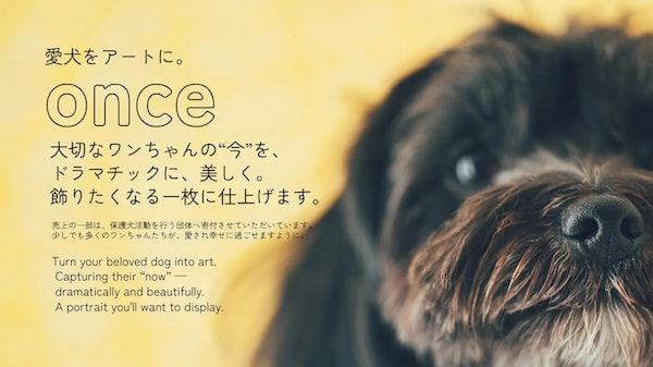 【三重県伊勢市】フォトスタジオ「photomar」が愛犬専用の撮影プランを開始。愛犬との思い出を美しく残す