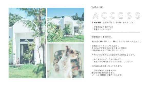 【三重県伊勢市】フォトスタジオ「photomar」が愛犬専用の撮影プランを開始。愛犬との思い出を美しく残す