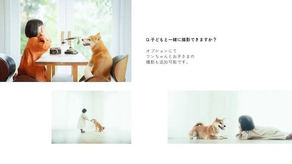 【三重県伊勢市】フォトスタジオ「photomar」が愛犬専用の撮影プランを開始。愛犬との思い出を美しく残す