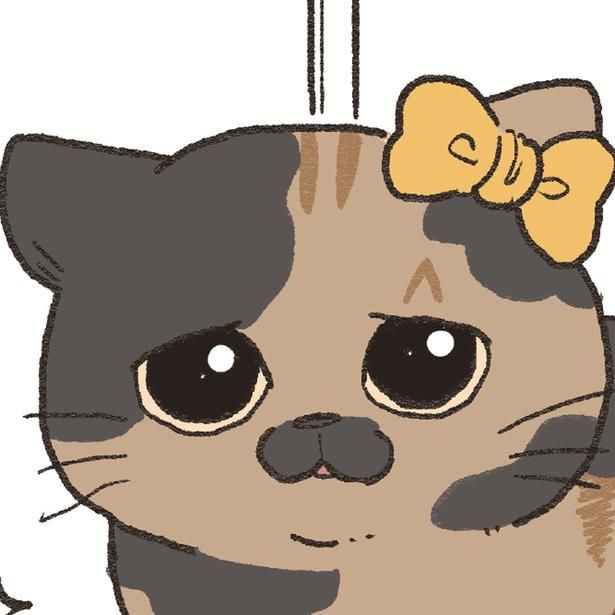困ってる顔の猫 （C）やじま／KADOKAWA