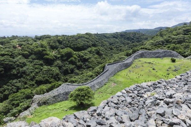 頂まで登ると、眼下にやんばるの森が広がっていた 撮影：樋口涼