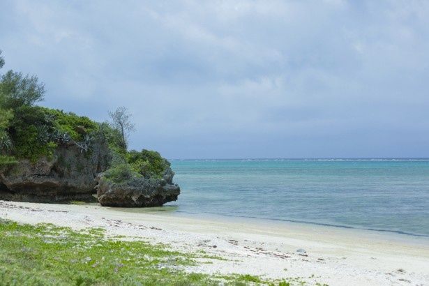 この今帰仁の浜を吹き抜ける潮風を、在りし日の“千代金丸”も感じたのだろうか？ 撮影：樋口涼