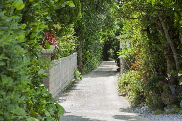 集落の家々にはフクギが植えられ、小道の両側は緑色に彩られている 撮影：樋口涼