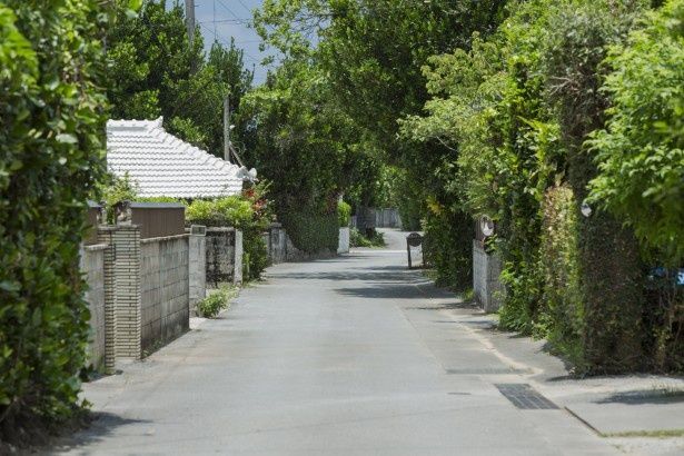素朴な集落だが、重要文化的景観に選定されている 撮影：樋口涼