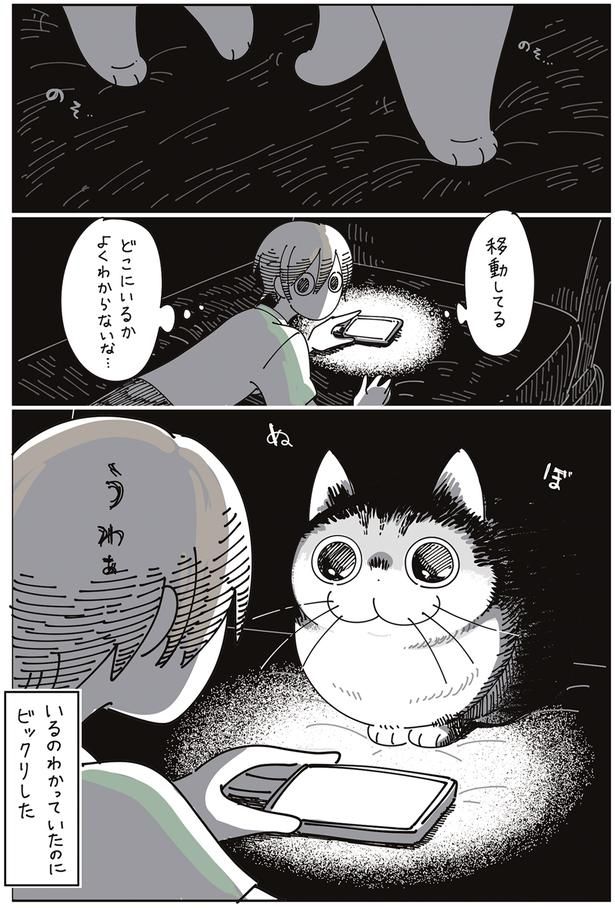 うわぁ （C）キュルZ／KADOKAWA