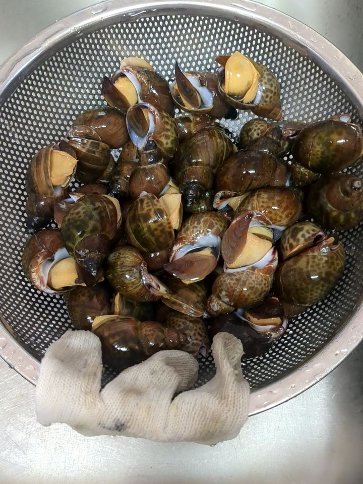 下処理①