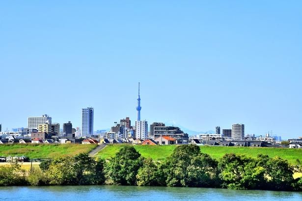 江戸川を挟んで対岸の市川市側河川敷からも花火が楽しめる