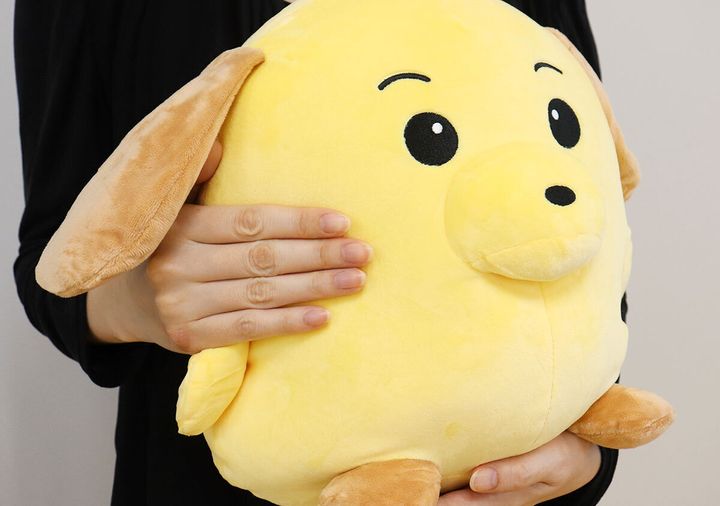 女性がカスタム君のぬいぐるみを両手で抱きしめている