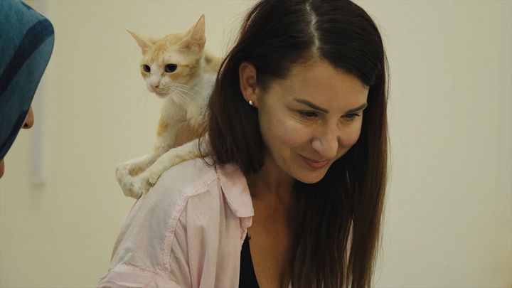 映画『猫たちと7000マイルの旅』場面写真 （C）2025 Gray Hat Productions LLC All Rights Reserved width=