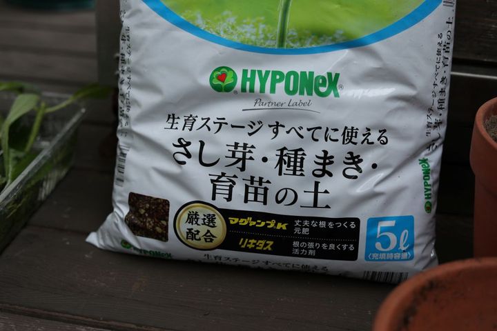 揷し木の土