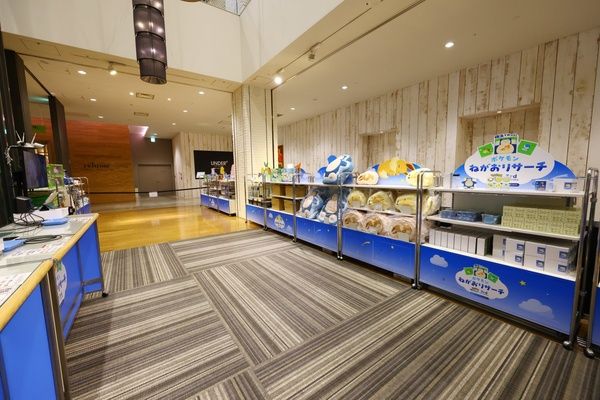 【神奈川県横浜市】みなとみらいでポケモンの寝顔を探そう！『Pokémon Sleep』イベント開催