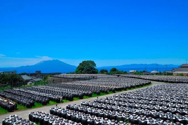 坂元醸造が「ピクルス黒酢」を発売！家庭で手軽に本格的な黒酢ピクルスを堪能