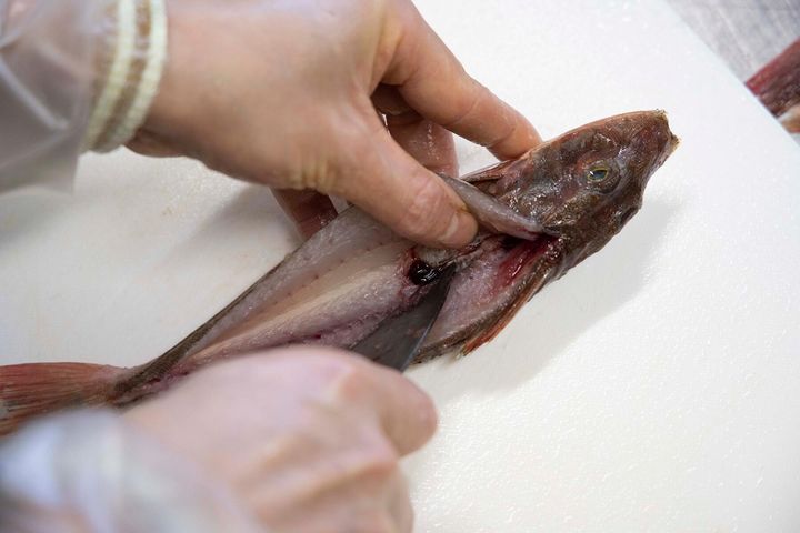 さらに深く包丁を入れる