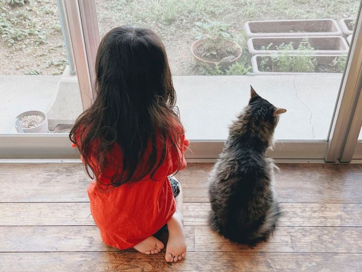 娘と5歳のふわふわねこ。 仲良しのふたりは、お互いに見守り、見守られ、いつもちょうどいい距離感です。