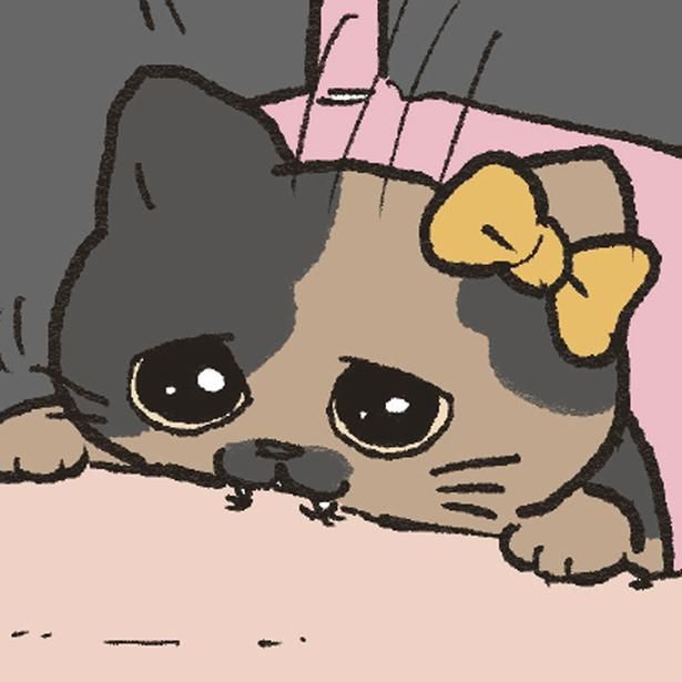 抱っこ嫌いな猫 （C）やじま／KADOKAWA
