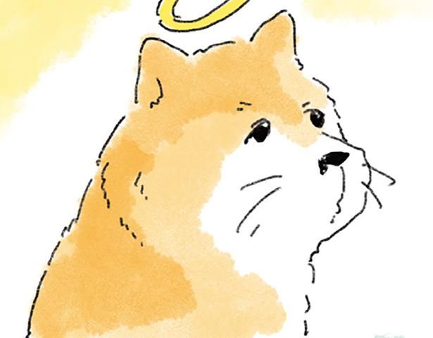 亡き愛犬が好きだった散歩道 （C）中山有香里／KADOKAWA