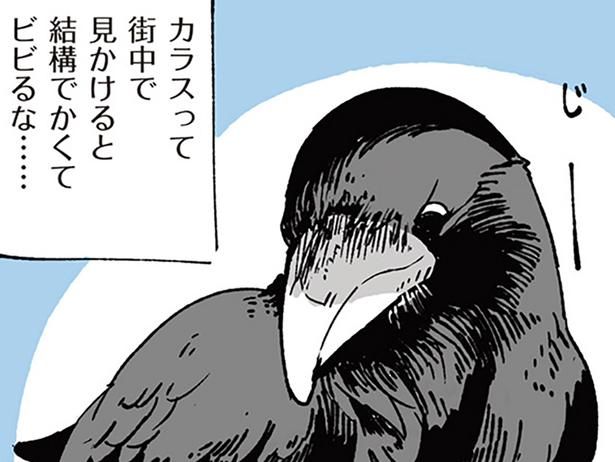 カラスって （C）みつつぐ／KADOKAWA