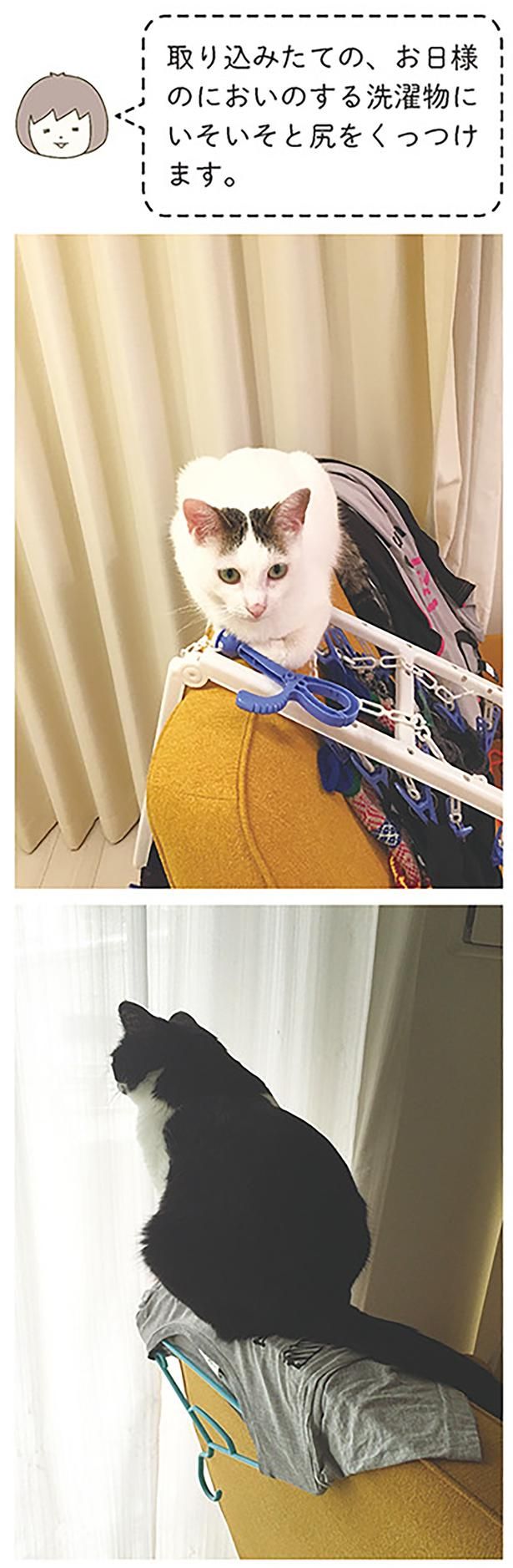 いそいそと… （C）卵山玉子／KADOKAWA