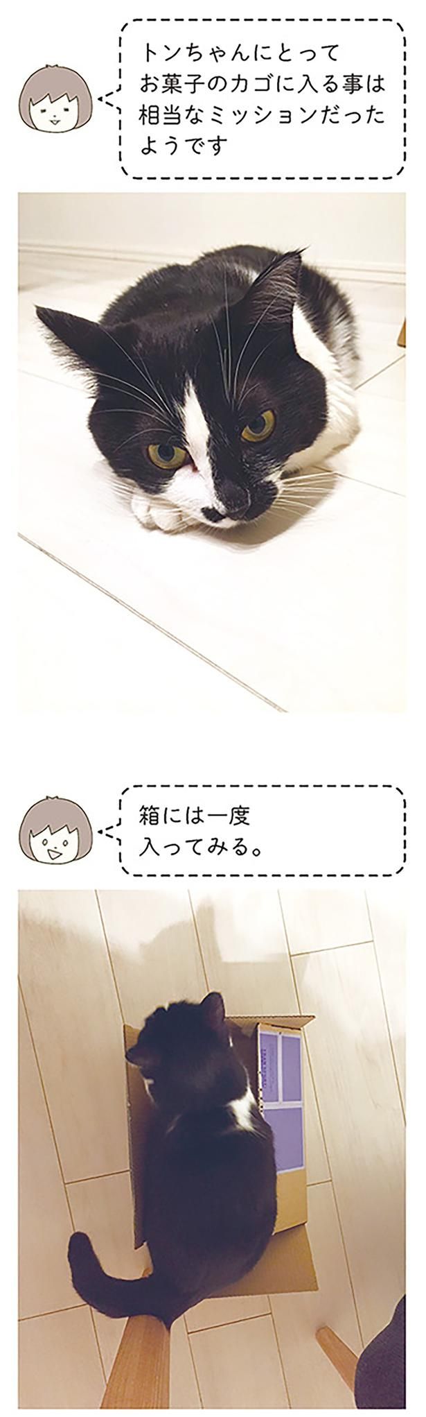 箱には一度入ってみる （C）卵山玉子／KADOKAWA