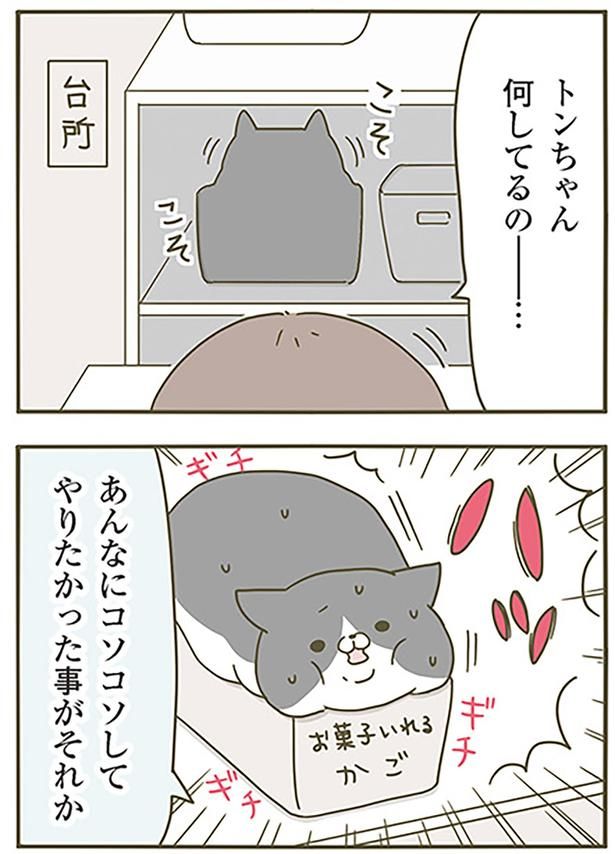 何してるの （C）卵山玉子／KADOKAWA