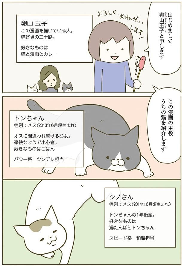 うちの猫 （C）卵山玉子／KADOKAWA