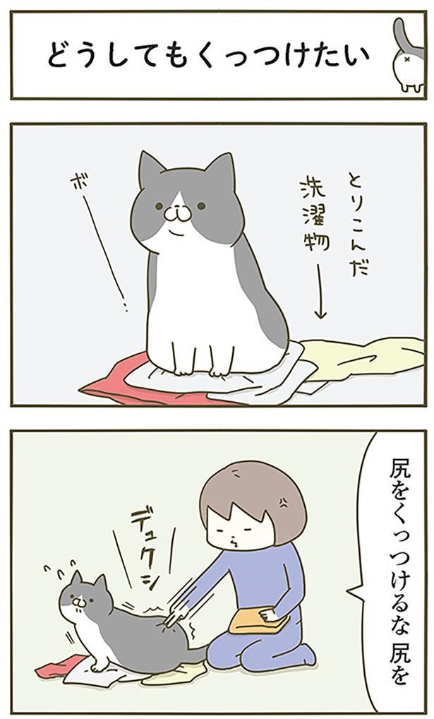 どうしてもくっつけたい （C）卵山玉子／KADOKAWA