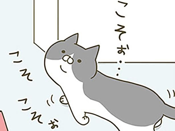 コソコソする猫 （C）卵山玉子／KADOKAWA