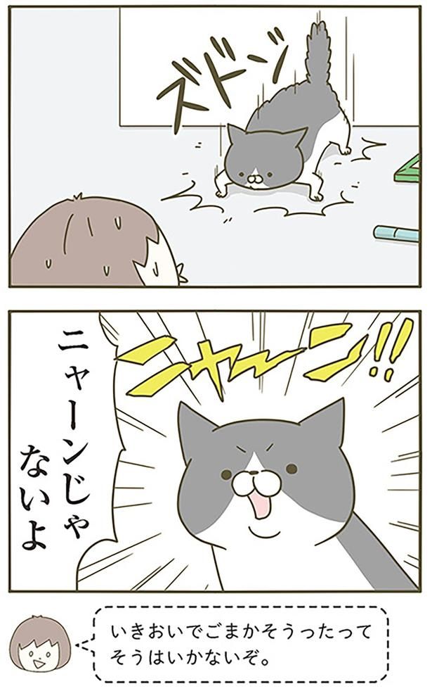 ニャーンじゃないよ （C）卵山玉子／KADOKAWA