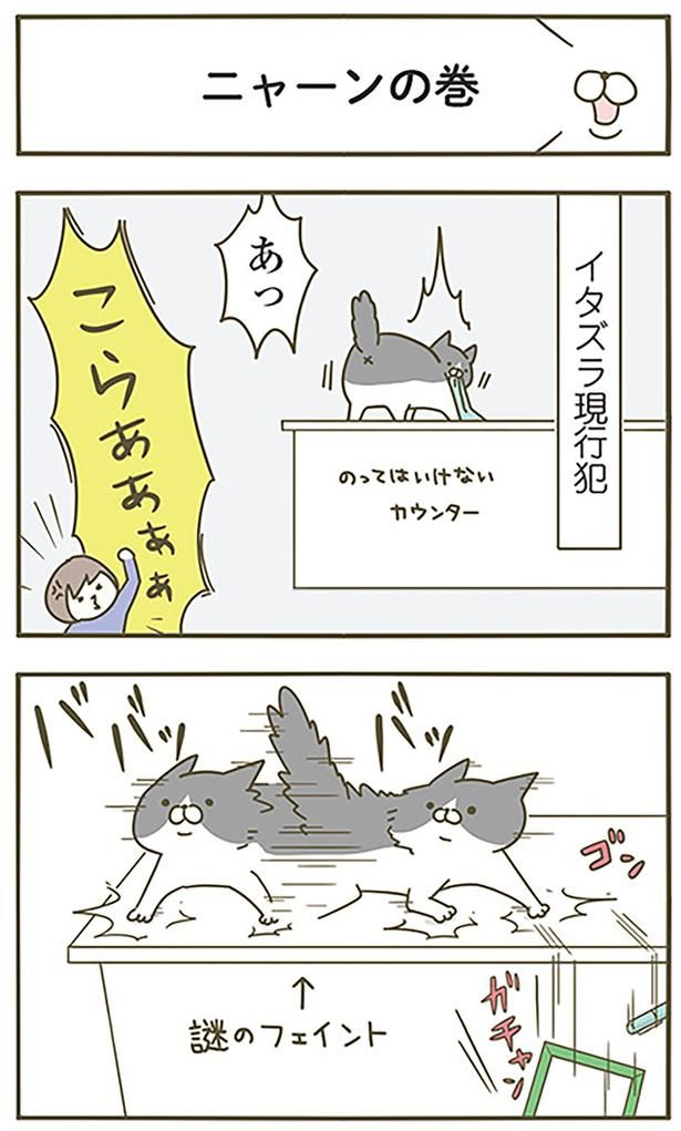 ニャーンの巻 （C）卵山玉子／KADOKAWA