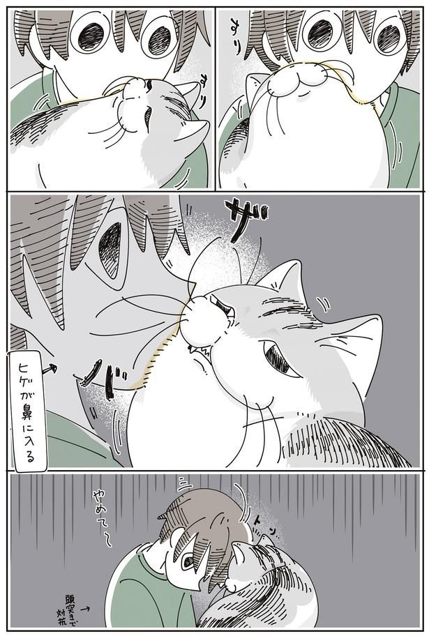 ヒゲが鼻に… （C）キュルZ／KADOKAWA